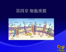 ?屑^O?k膜1舘燛莃蔎5F趈楰8?垑q?拝eKD迯?帶蝴黬岈a.n.姁s甚Mn?hZ0??E的简单介绍-爱游戏体育官网